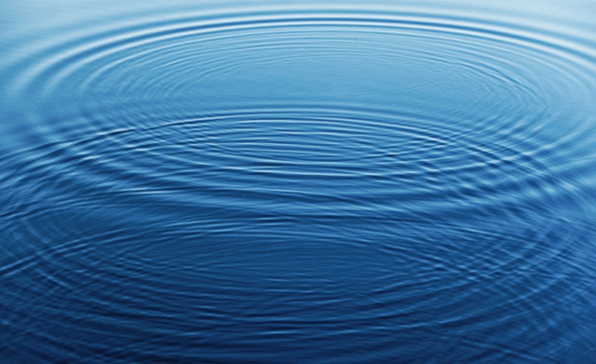 McConnell Valdés Foundation