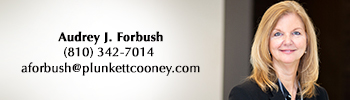 Audrey Forbush Plunkett Cooney Governmental Law Attorney Flint