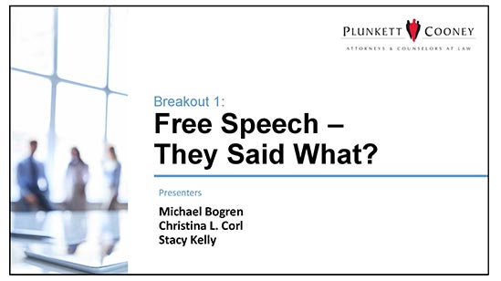 New Challenges Virtual Seminar Free Speech Breakout