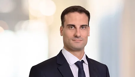 Photo of Guido  Antolini